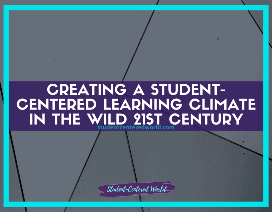 Text on a geometric background reads, Creating a Student-Centered Learning Climate with Flexible Seating in the Wild 21st Century, accompanied by a website link and the phrase Student-Centered World below. The border is turquoise.