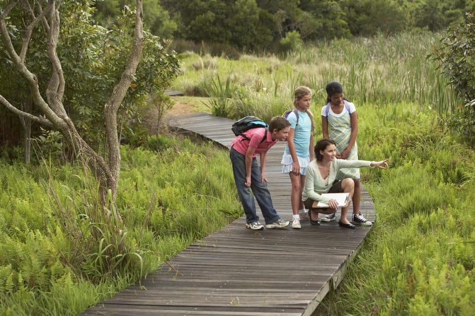Amidst lush greenery, four children embark on a nature walk with an adult guide. Navigating school closures, they're immersed in learning beyond classrooms. On a wooden path, the guide crouches to point at wonders of the wild, while the children eagerly observe in their casual clothes and backpacks.