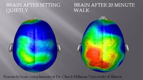 Two brain scans comparing activity levels: the left scan, after a quiet moment or simple brain breaks for kids, shows lower activity with blue and green areas; the right scan reveals heightened activity post a 20-minute walk, highlighted by vibrant red and orange sections.